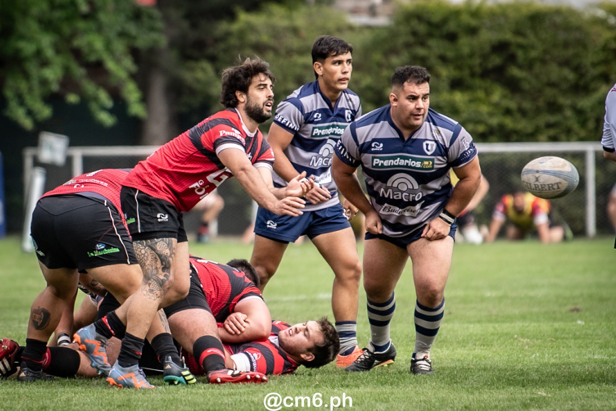  Universitario Rugby Club - Tucuman - San Martin Rugby Club - Rugby - Torneo del Interior 2023 - Universitario (Tucuman) vs San Martin (Cordoba) (#TDI23UNISM09) Photo by: Christian Mas | Siuxy Sports 2023-09-30