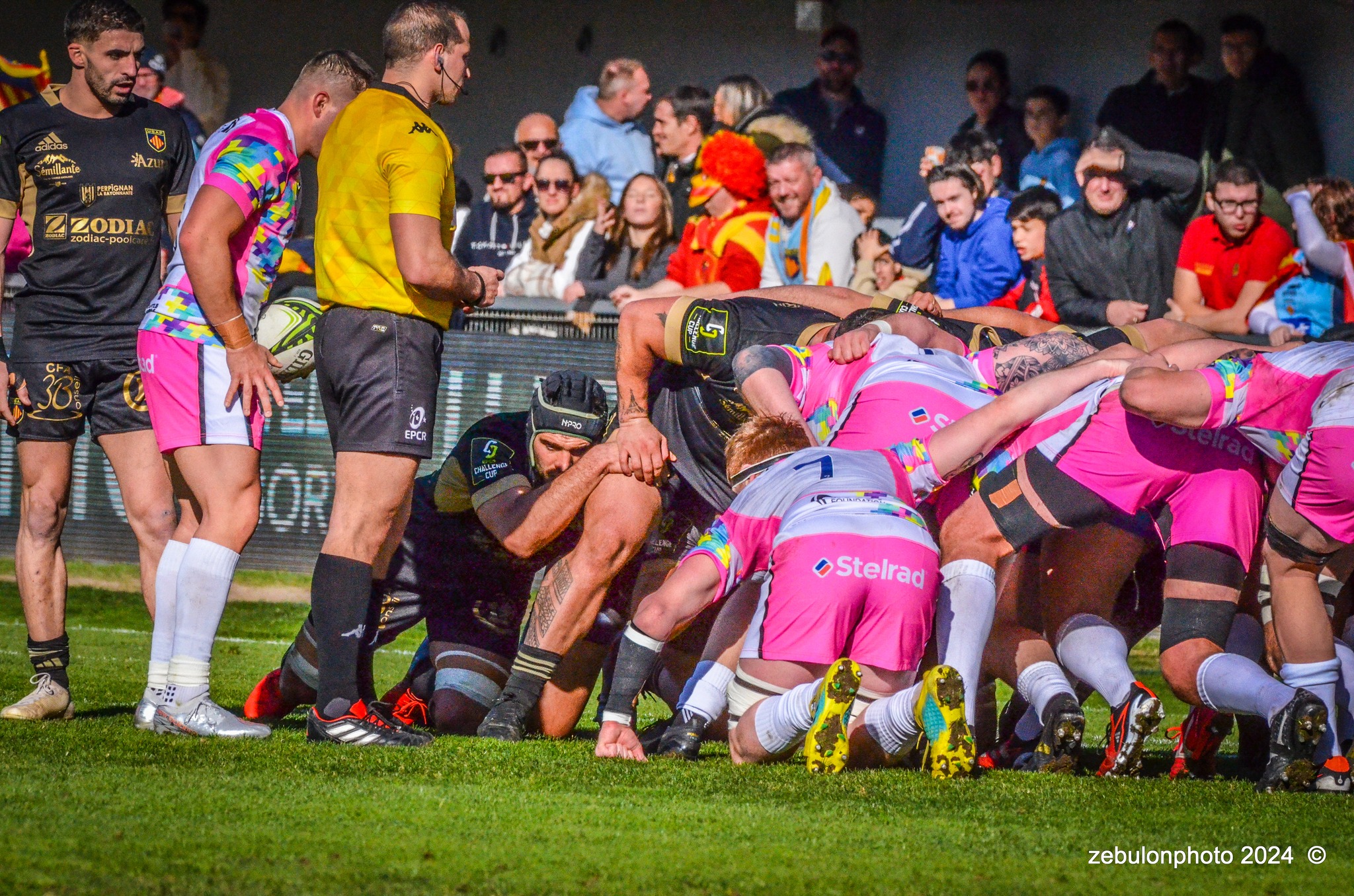 US Arlequins Perpignanais - Newcastle Falcons - Rugby - Challenge Cup - Perpignan (23) vs (32) Newcastle Falcons (#CC24USAPNF01) Photo by: Photo Zebulon | Siuxy Sports 2024-01-21