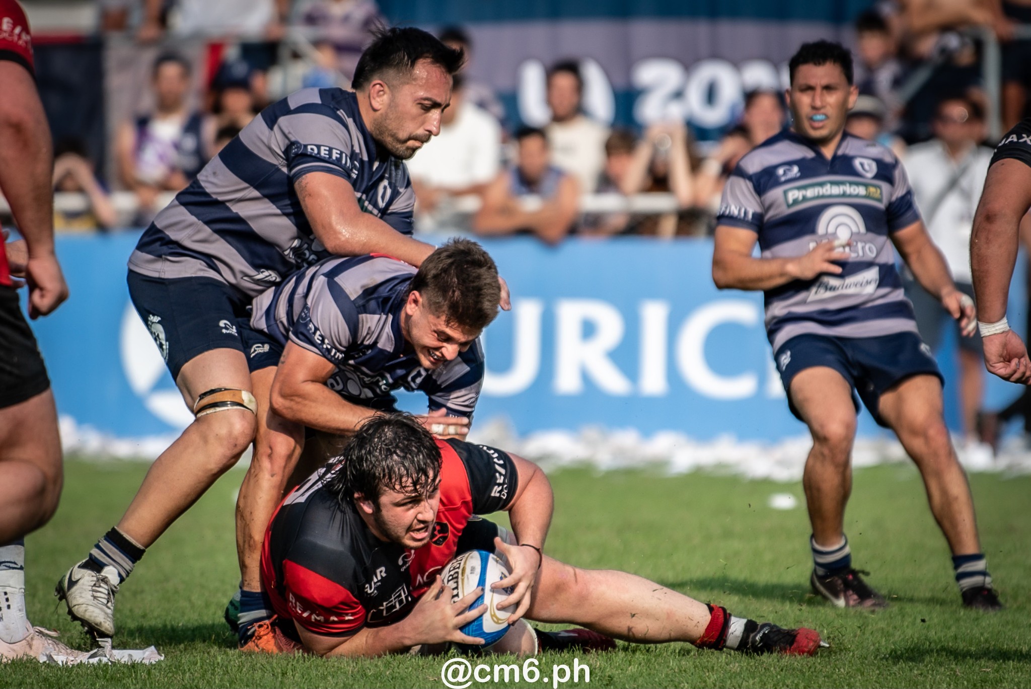  Universitario Rugby Club - Tucuman - Córdoba Athletic - Rugby - UAR - Torneo del Interior - Final 2023 - Universitario (25) vs (21) Cordoba Athletic (#UAR23TDIUNICA11) Photo by: Christian Mas | Siuxy Sports 2023-11-11