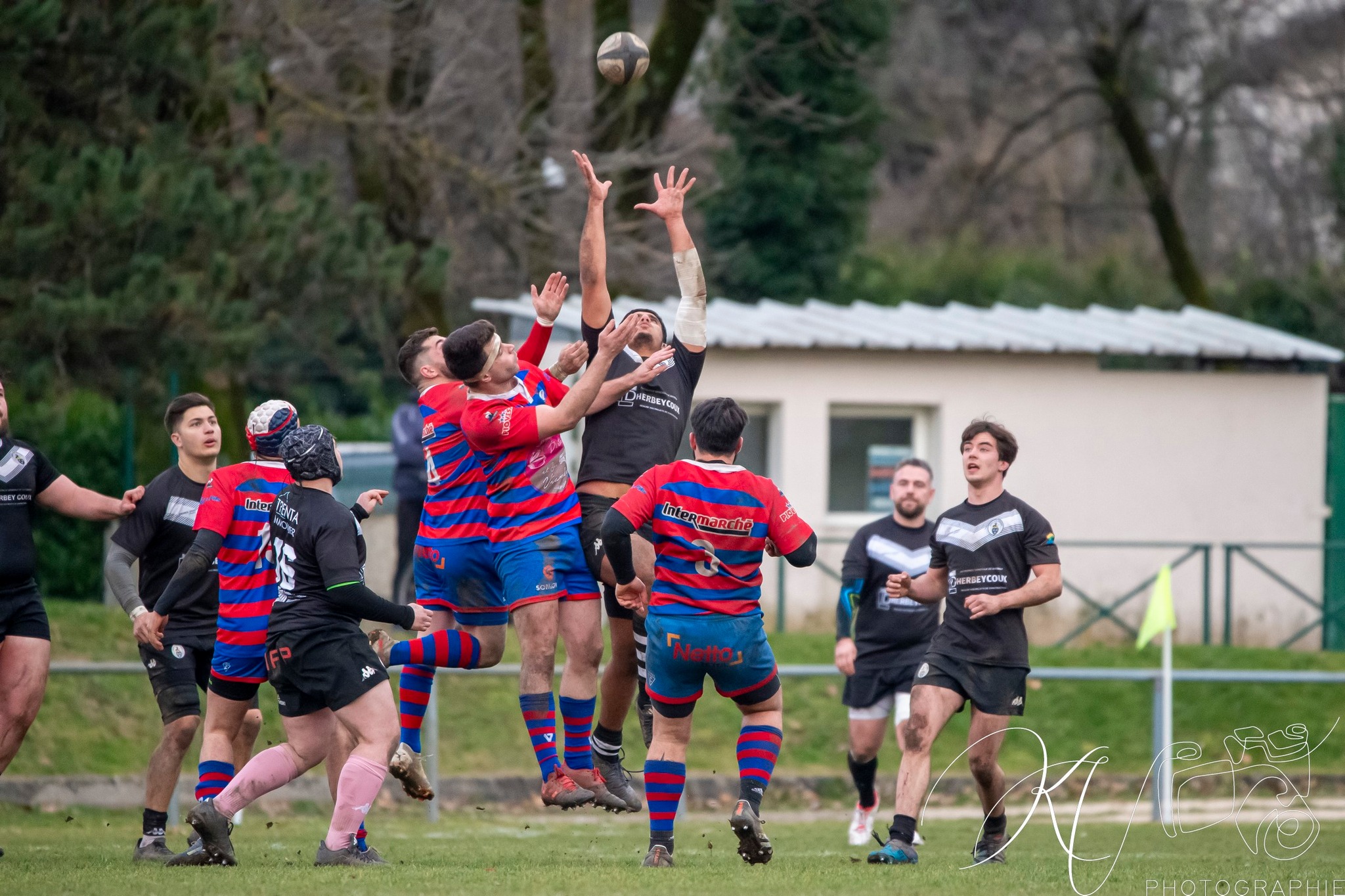  Rugby Club de Seyssins - Rugby Club Le Teil - Rugby - Fed3 2024 - RC de Seyssins vs RC Le Teil (#F324RCSRCLT02) Photo by: Karine Valentin | Siuxy Sports 2024-02-12