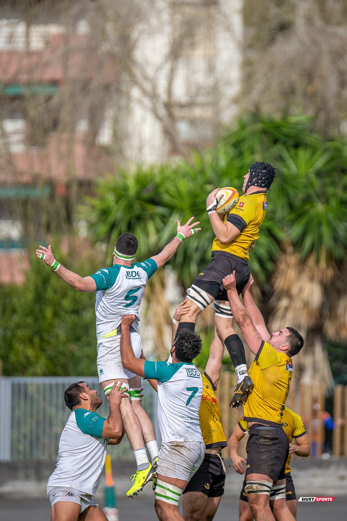  Getxo Artea Rugby Taldea - Rugby Club Valencia - Rugby - FER 2024 - DHB - Getxo RT (14) vs (16) Valencia RC (#FER24DHBGRTVRC01) Photo by: Fredy Monfoto | Siuxy Sports 2024-01-28