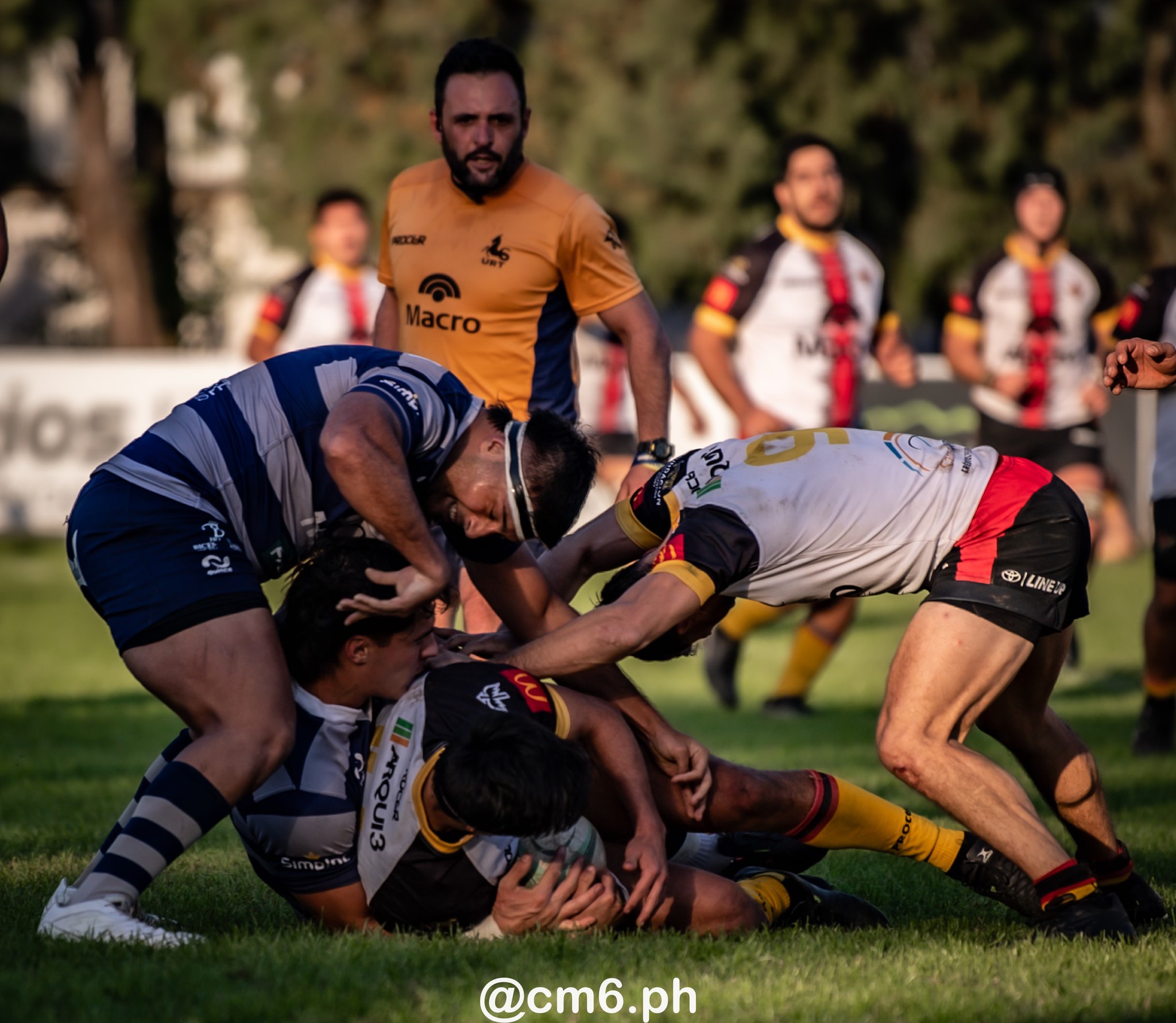  Universitario Rugby Club - Tucuman - Cardenales Rugby Club - Rugby - URT 2024 - Universitario (57) vs (6) Cardenales (#URT24UNICAR06) Photo by: Christian Mas | Siuxy Sports 2024-06-30