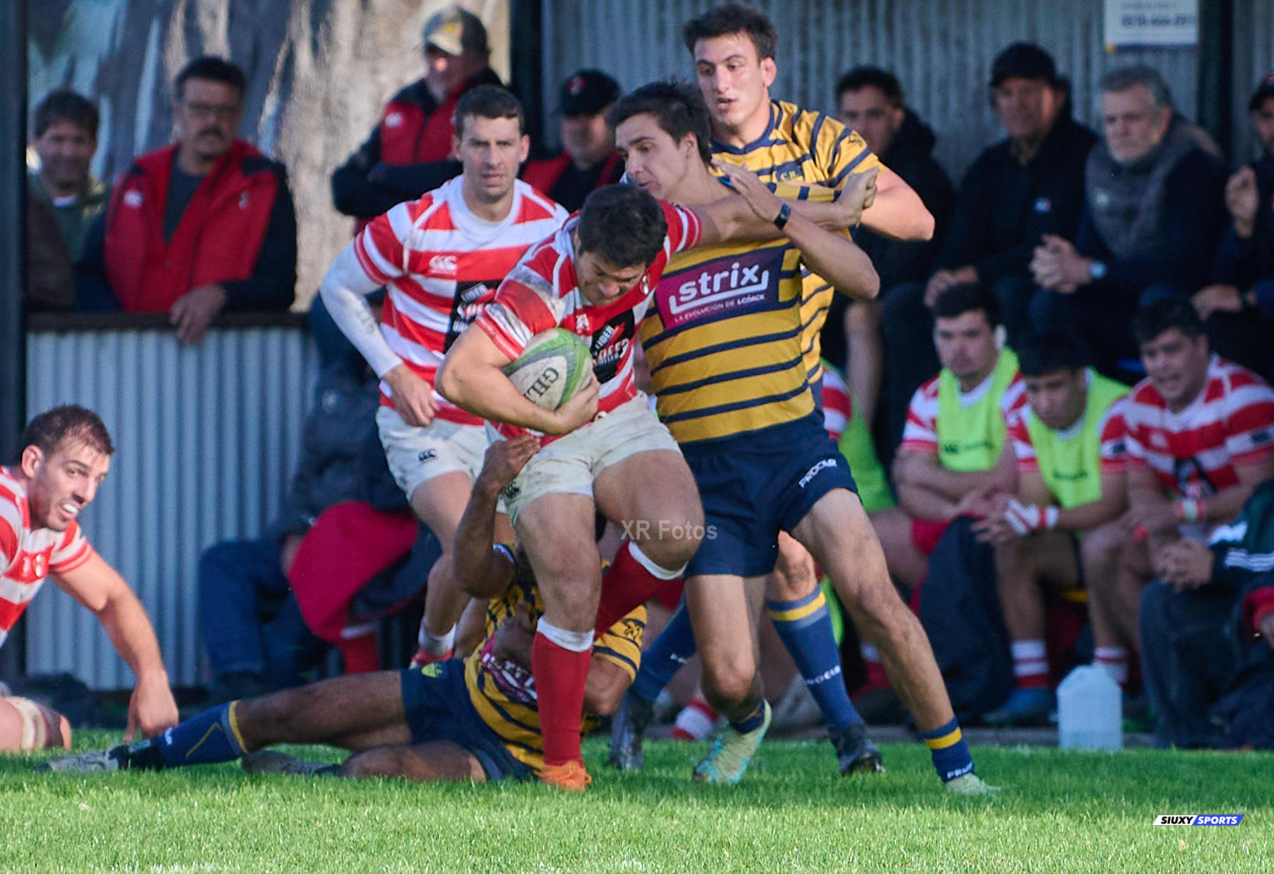  Club Regatas de Bella Vista - Asociación Alumni - Rugby - URBA 2024 - TOP 12 Superior -  Regatas de BV (13) vs (18) Asociacion Alumni  (#URBA24T12ALURBV04) Photo by: Ximena Rebecchi | Siuxy Sports 2024-04-27