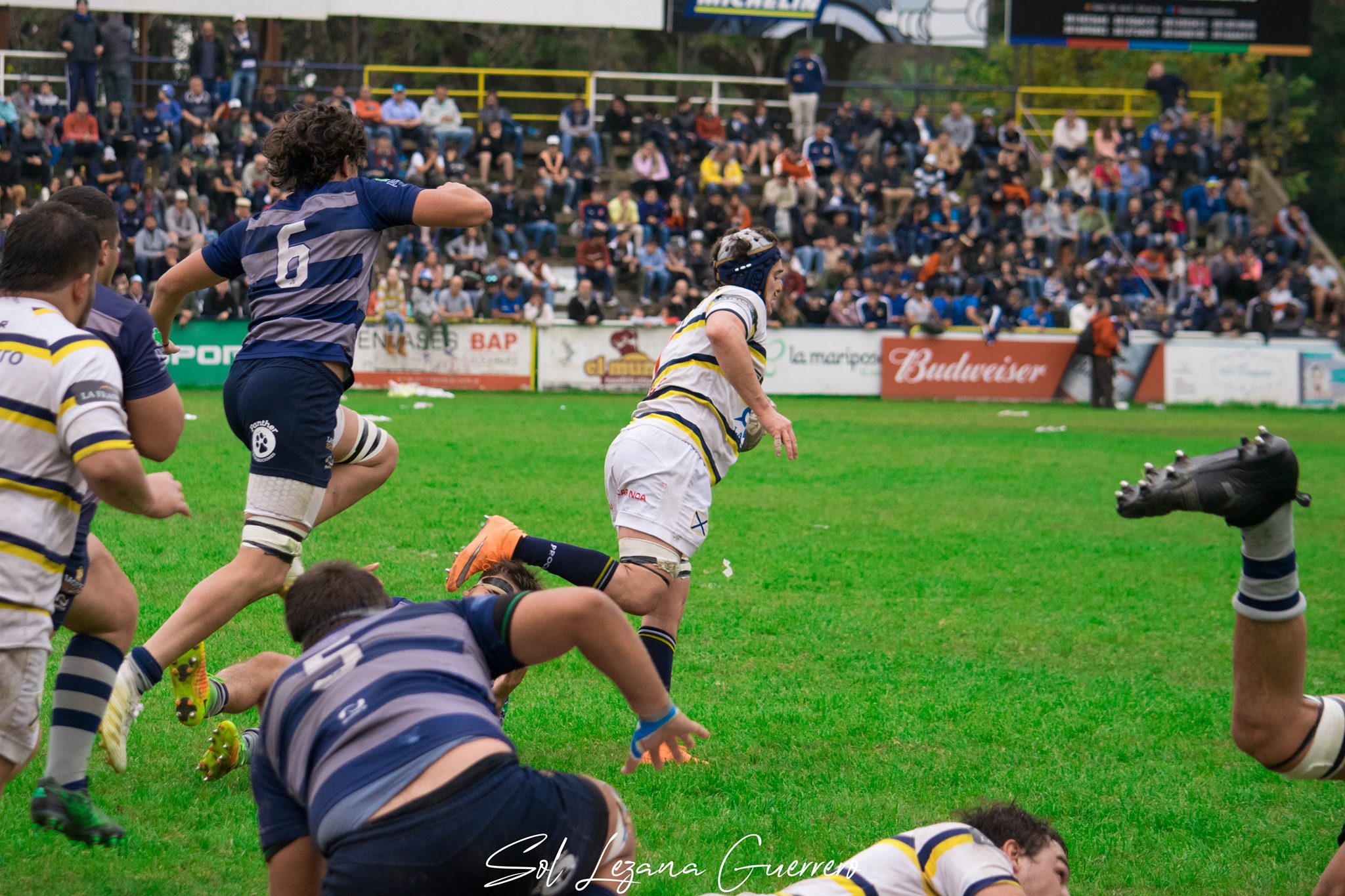  Tucumán Lawn Tennis Club - Universitario Rugby Club - Tucuman - Rugby - URT 2019 - Final NOA - Tucuman Lawn Tennis vs Universitario Rugby (#URT19NOATLTUR07) Photo by: Sandra Lezana Guerrero | Siuxy Sports 2019-07-14