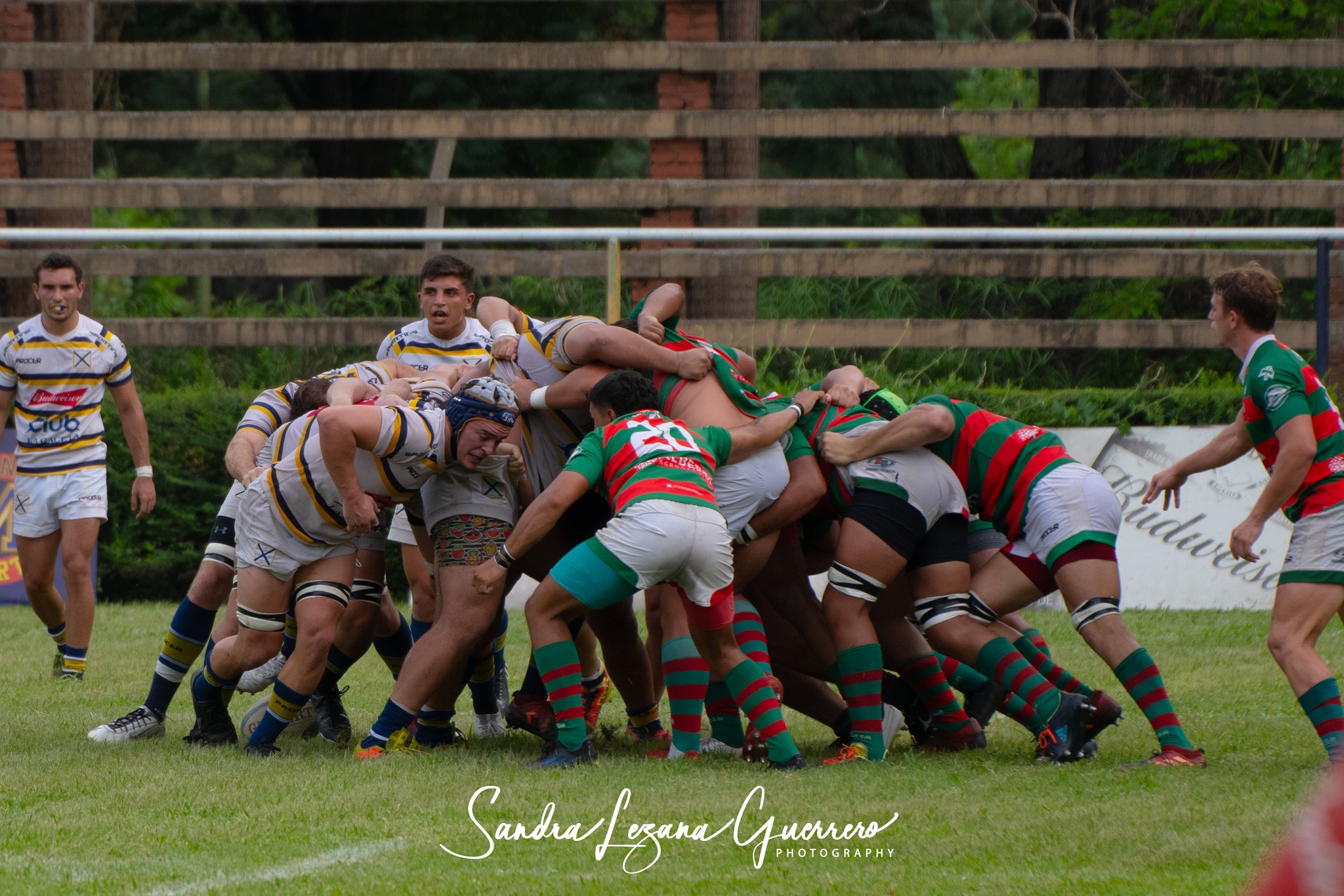  Tucumán Lawn Tennis Club - Huirapuca Social Club - Rugby - URT 2024 - Tucuman Lawn Tennis Club (41) vs (17) Huirapuca SC (#URT24TLTHUI03) Photo by: Sandra Lezana Guerrero | Siuxy Sports 2024-03-02