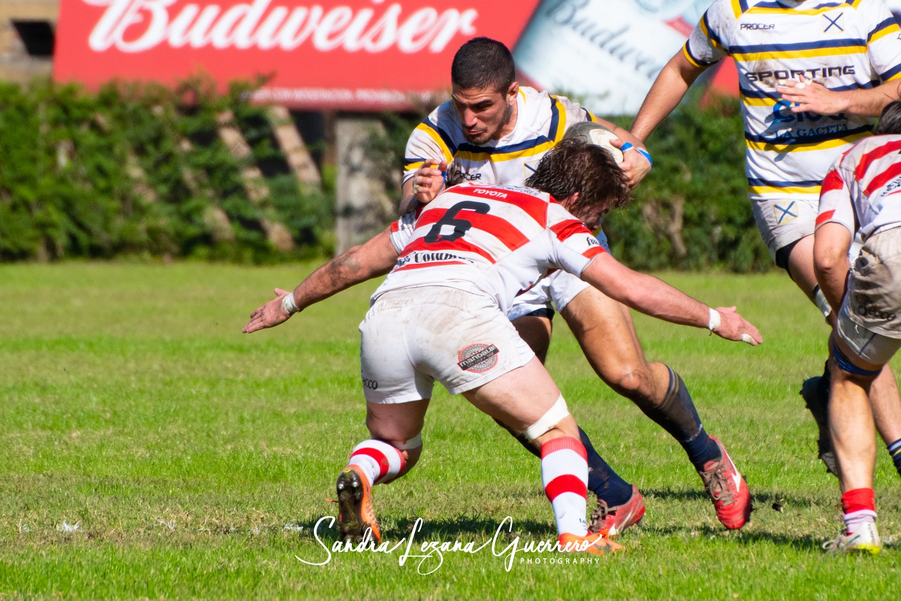  Tucumán Lawn Tennis Club - Santiago Lawn Tennis - Rugby - UAR - Torneo del Interior 2019 - Tucuman Lawn Tennis vs Santiago Lawn Tennis (#UAR19TDITLTSLT06) Photo by: Sandra Lezana Guerrero | Siuxy Sports 2019-06-01
