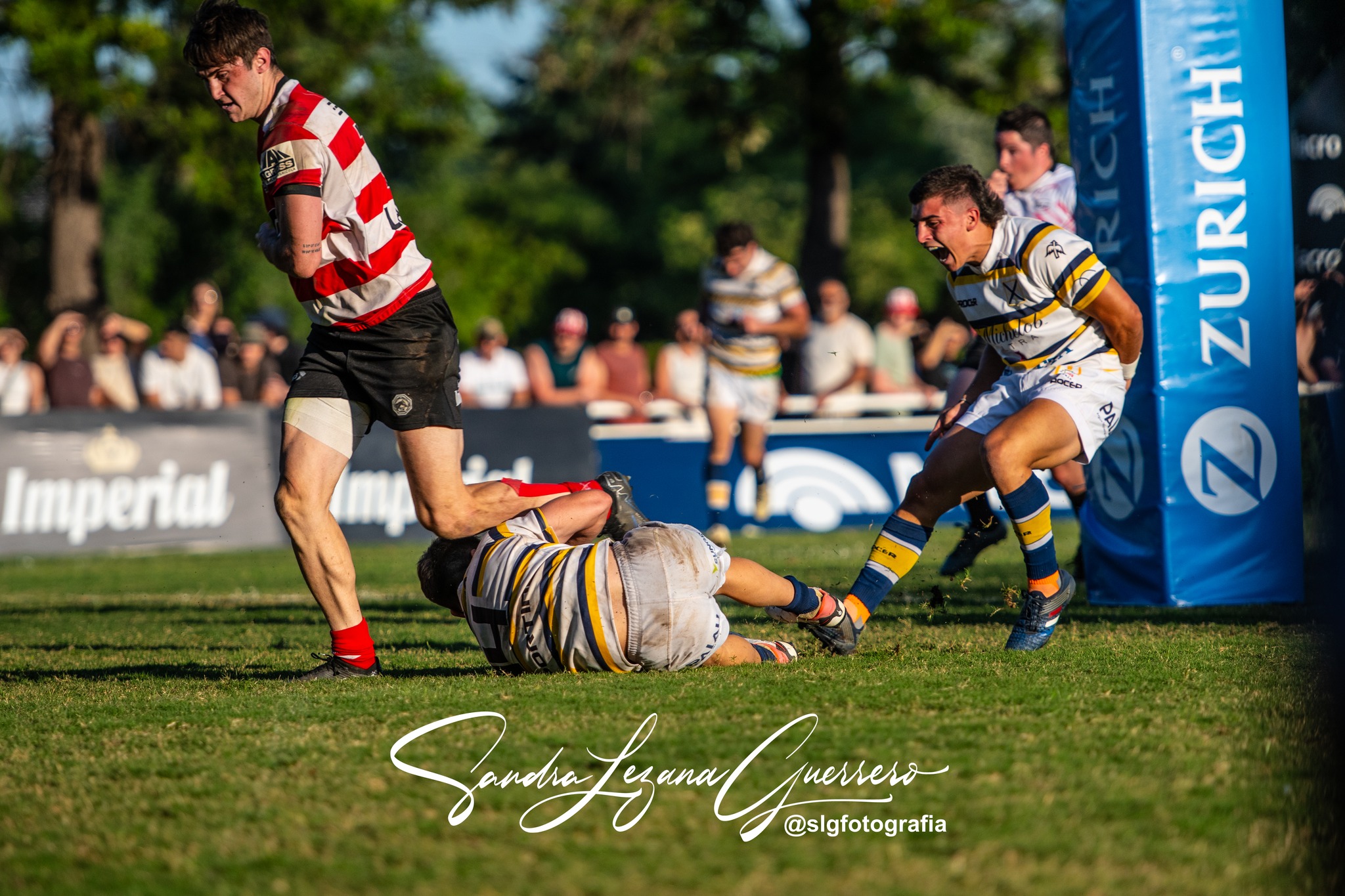  Jockey Club Córdoba - Tucumán Lawn Tennis Club - Rugby - UAR - Torneo del Interior 2024 - Final - Jockey Cordoba (24) vs (30) Tucuman Lawn Tennis (#UAR24TITLTCJC111) Photo by: Sandra Lezana Guerrero | Siuxy Sports 2024-11-09