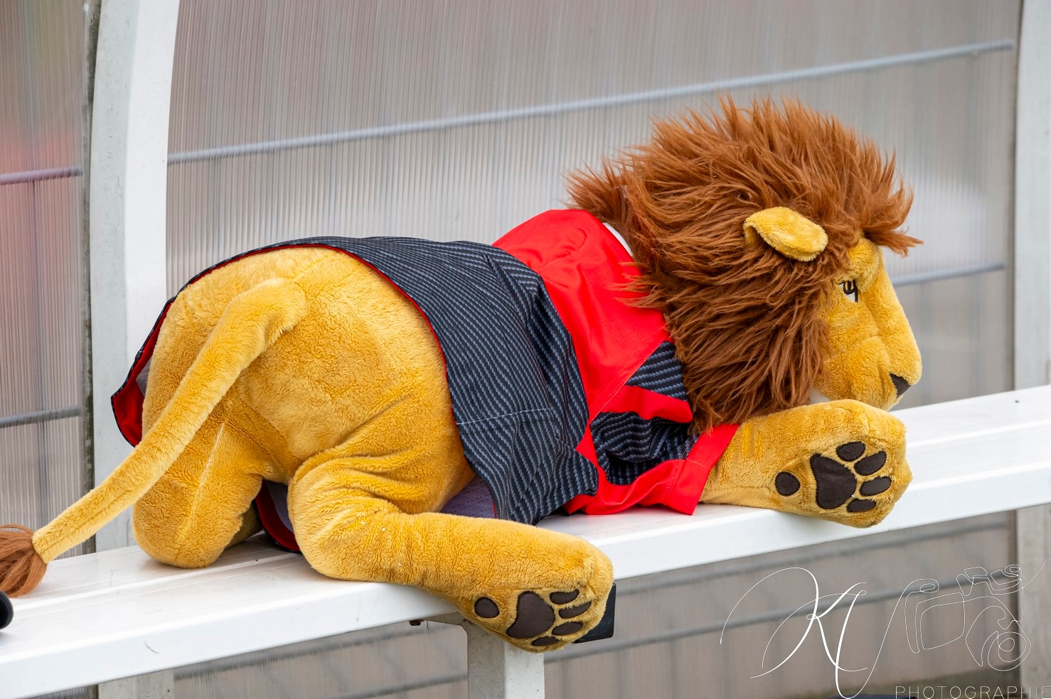  FC Grenoble Rugby - Stade Toulousain - Rugby - FFR 2024 Élite 1 F - FC Grenoble Amazones (23) vs (17) Stade Toulousain (#FFR24EL1FFCGST05) Photo by: Karine Valentin | Siuxy Sports 2024-05-12