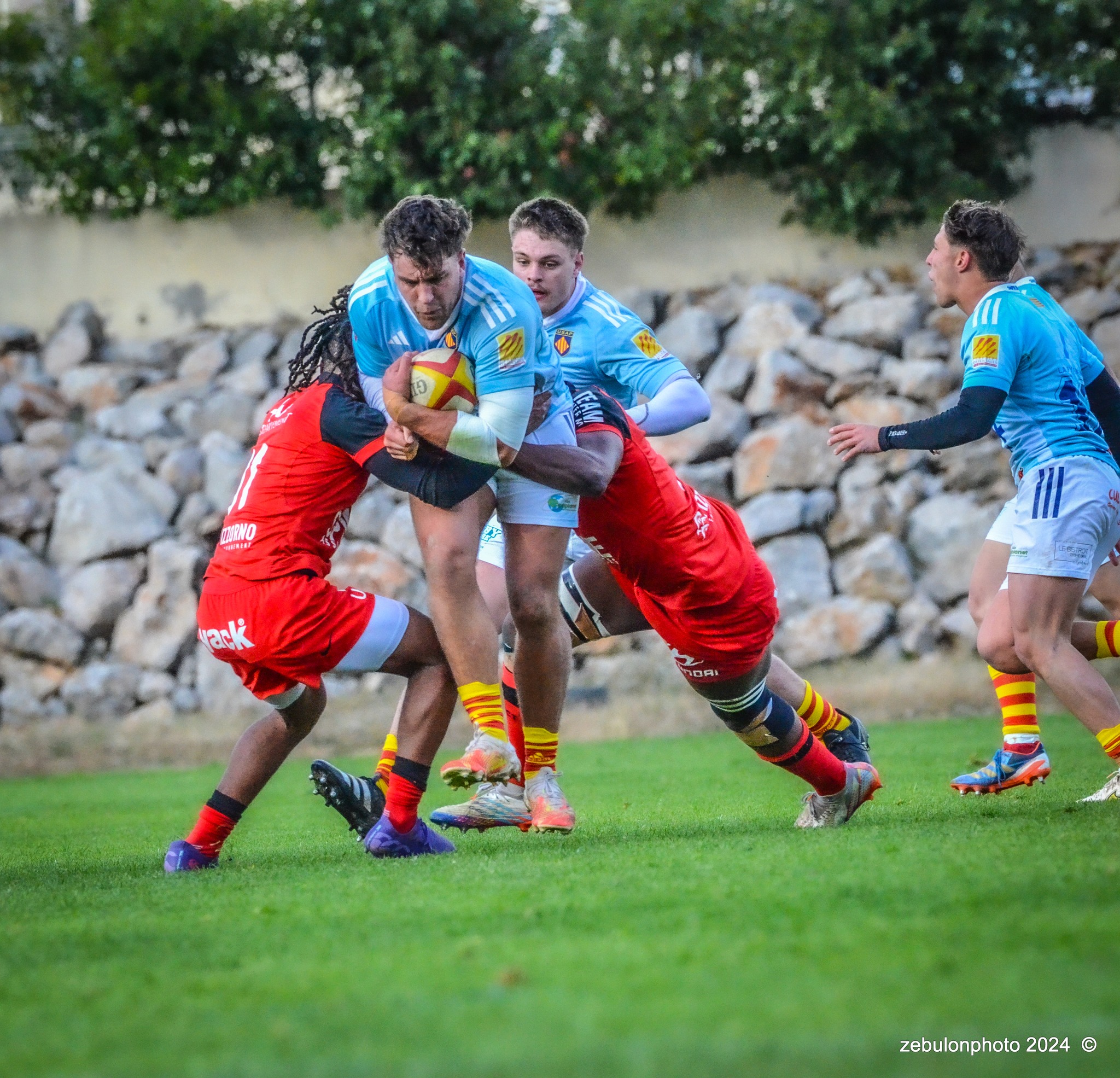  US Arlequins Perpignanais - RC Toulonnais - Rugby - Espoirs - USAP vs RCT (#ESP24USAPRCT02) Photo by: Photo Zebulon | Siuxy Sports 2024-02-10
