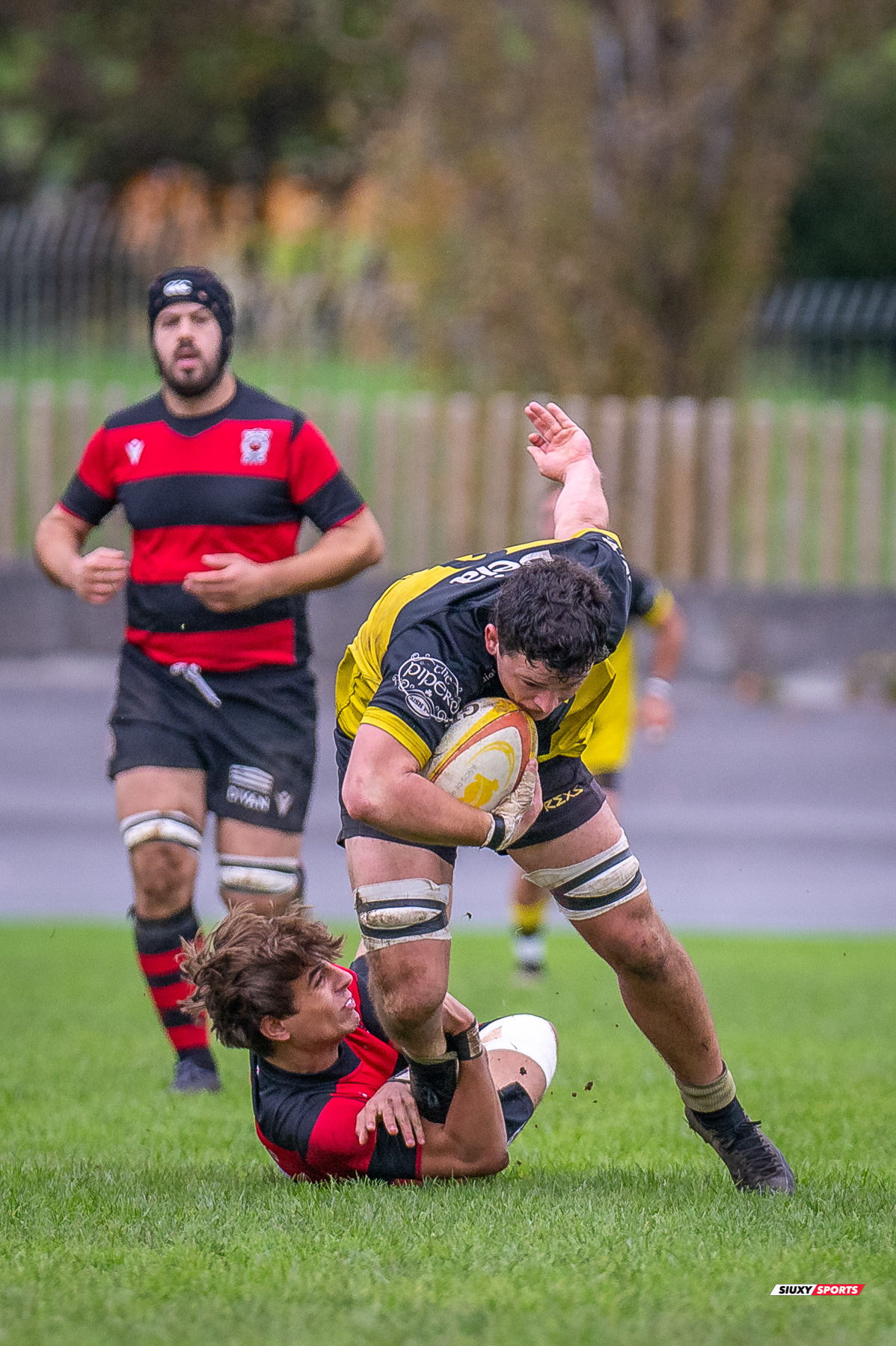  Getxo Artea Rugby Taldea - Gaztedi Rugby Taldea - Rugby - FER 2024 - DHB - Getxo RT (68) vs (0) Gaztedi RT (#FER24DHBGETGAZ11) Photo by: Fredy Monfoto | Siuxy Sports 2024-11-10